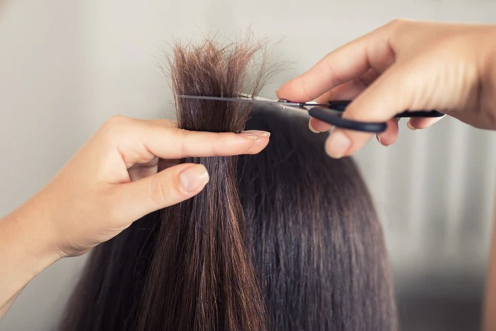 Hairdresser cutting split ends of dry, damaged brown hair with professional scissors.